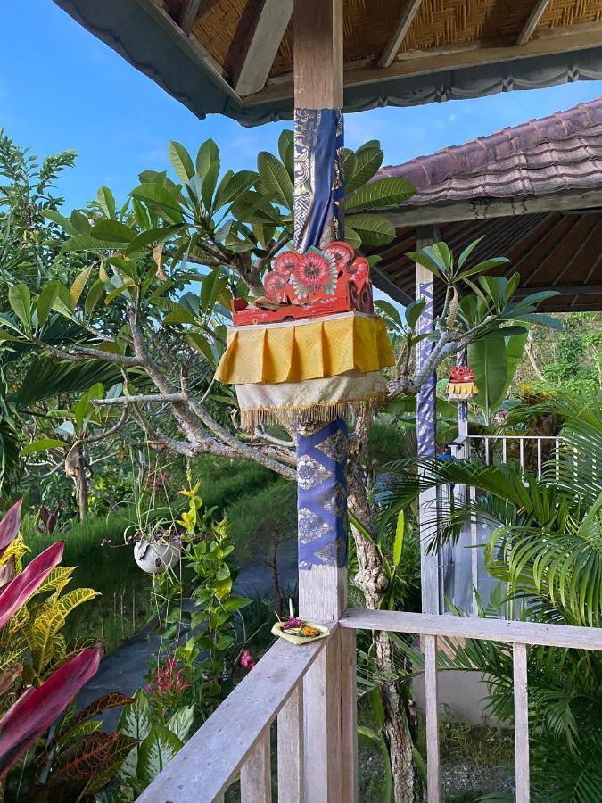 The Pancor Jungle Resort Ped ภายนอก รูปภาพ