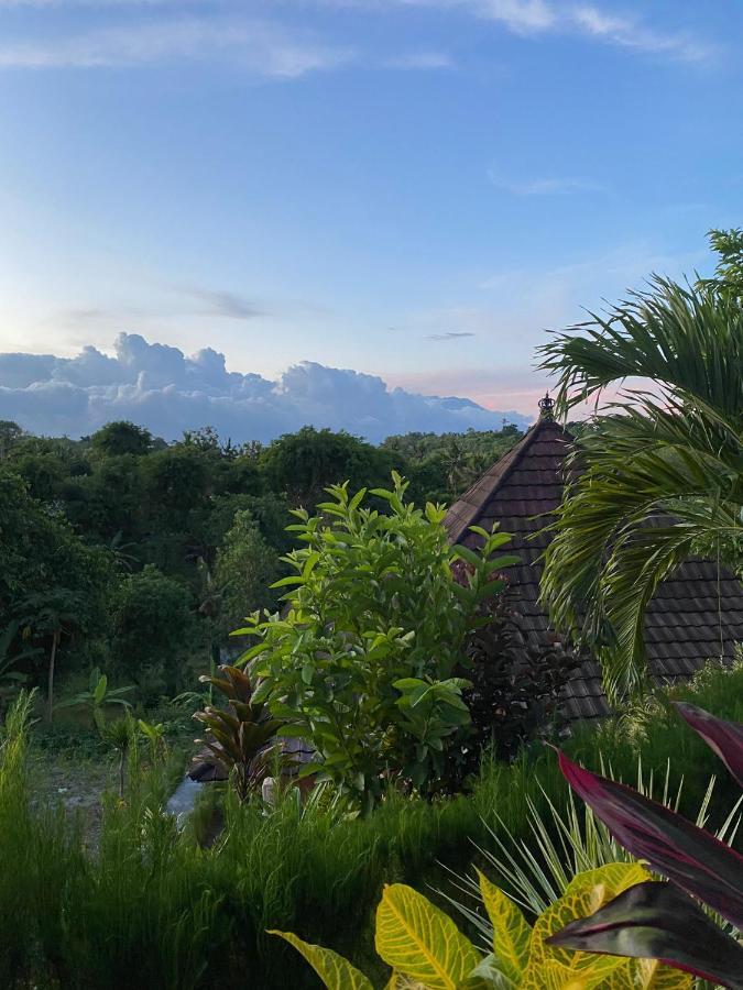 The Pancor Jungle Resort Ped ภายนอก รูปภาพ